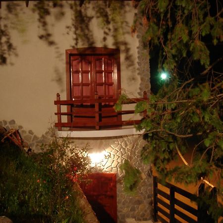 Rem's Pension Risnov Bagian luar foto
