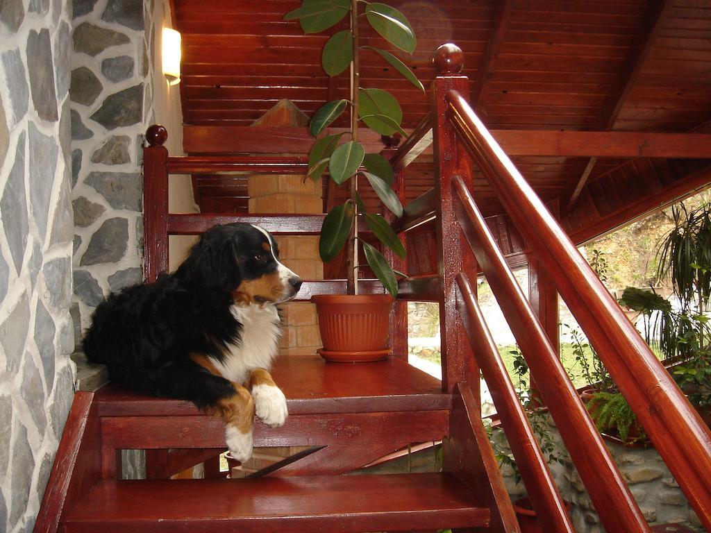 Rem's Pension Risnov Bagian luar foto
