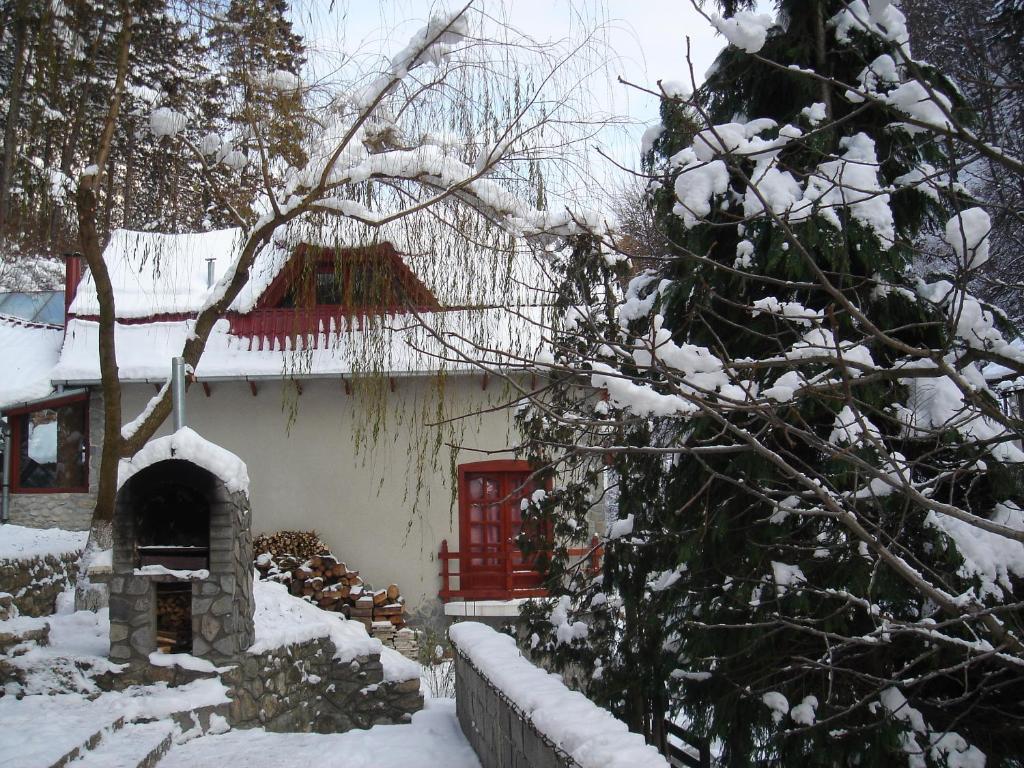 Rem's Pension Risnov Bagian luar foto